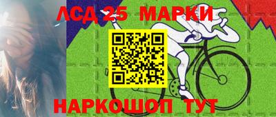 дурь Сланцы