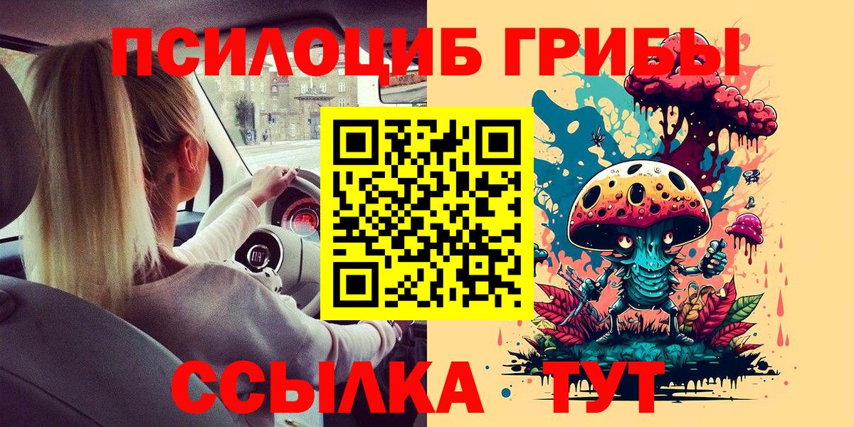 Павлово  Галлюциногенные грибы MAGIC MUSHROOMS  Вход с VPN  Псилоцибиновые грибы Psilocybe 