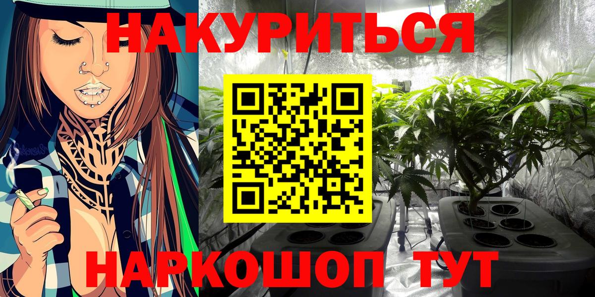 Конопля AK-47  Каннабис ГИДРОПОН  Павлово  Шишки марихуана план  Вход с VPN 